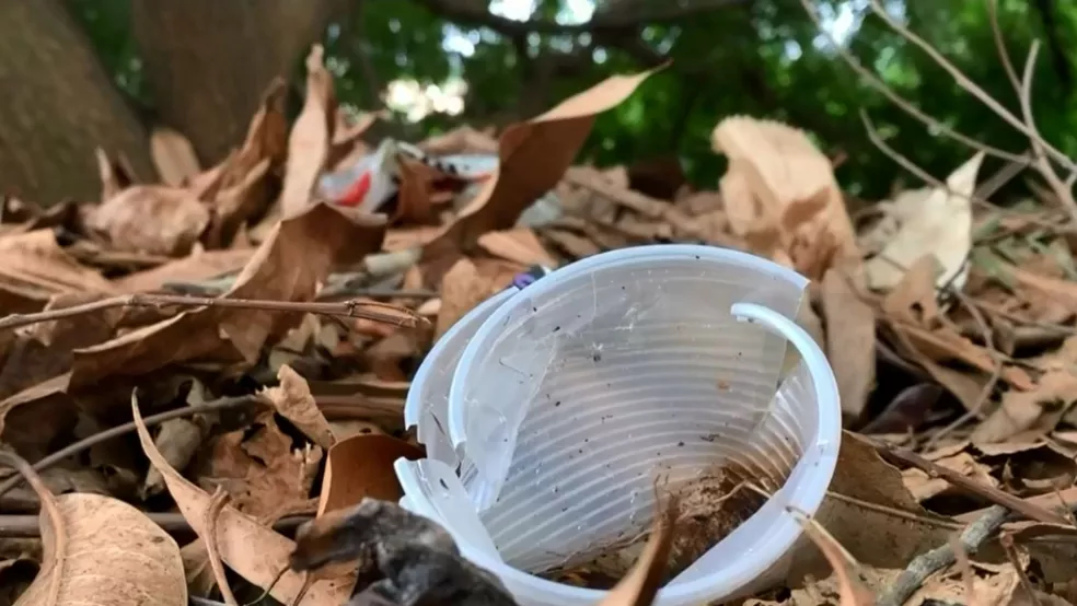 Homem de 55 anos é o 15° óbito por dengue em MS neste ano