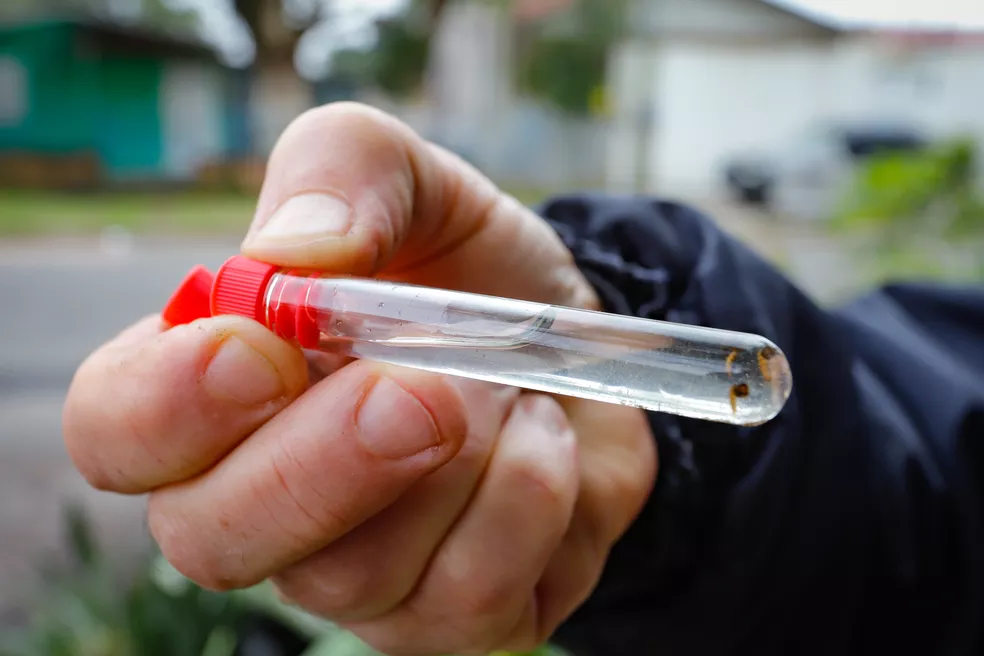 Menina de 11 anos é o 14° óbito por dengue em MS neste ano