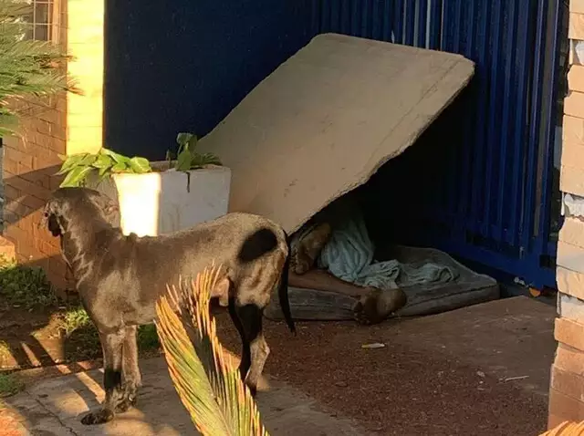 Morador de rua suspeito de furtos é executado enquanto dormia na fronteira