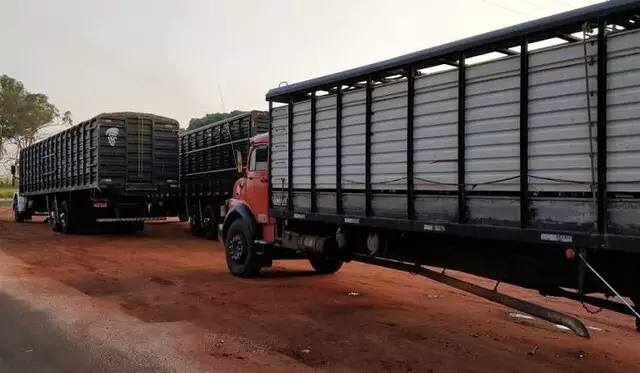 Suspensa obrigatoriedade de aplicativo de transporte de gado em MS