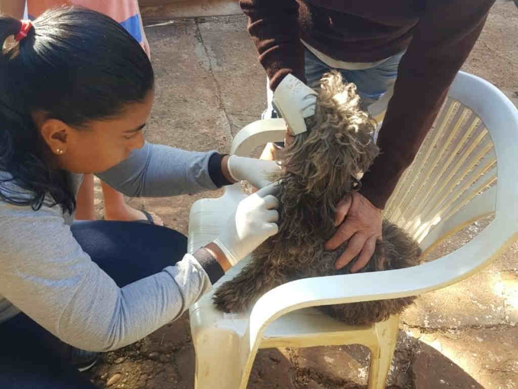 Vacinação de cães e gatos do Parque do Lago acontece nesta sexta-feira