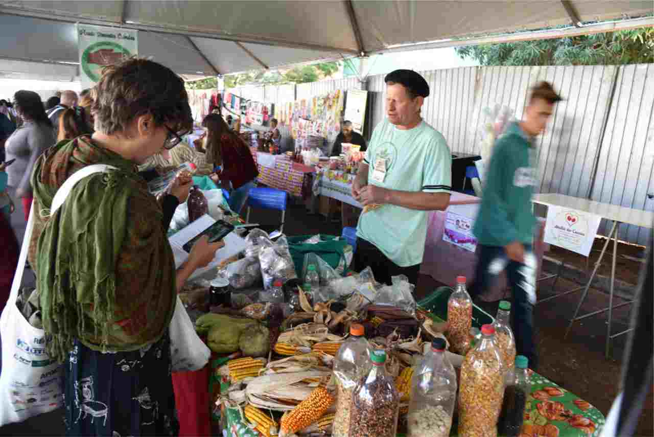 Feira de Sementes Crioulas movimenta agricultura familiar em Juti