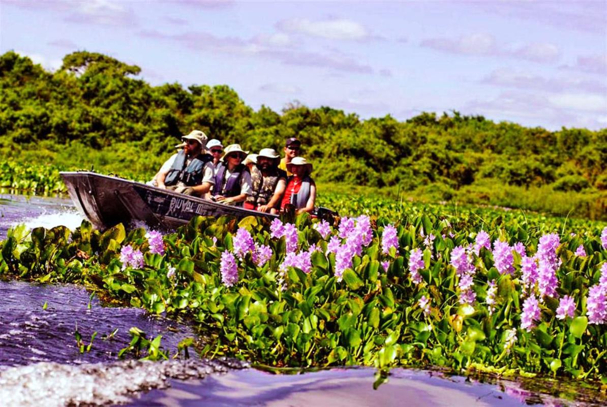 pantanal