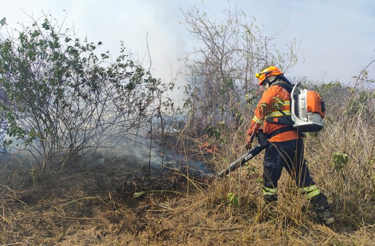 pantanal