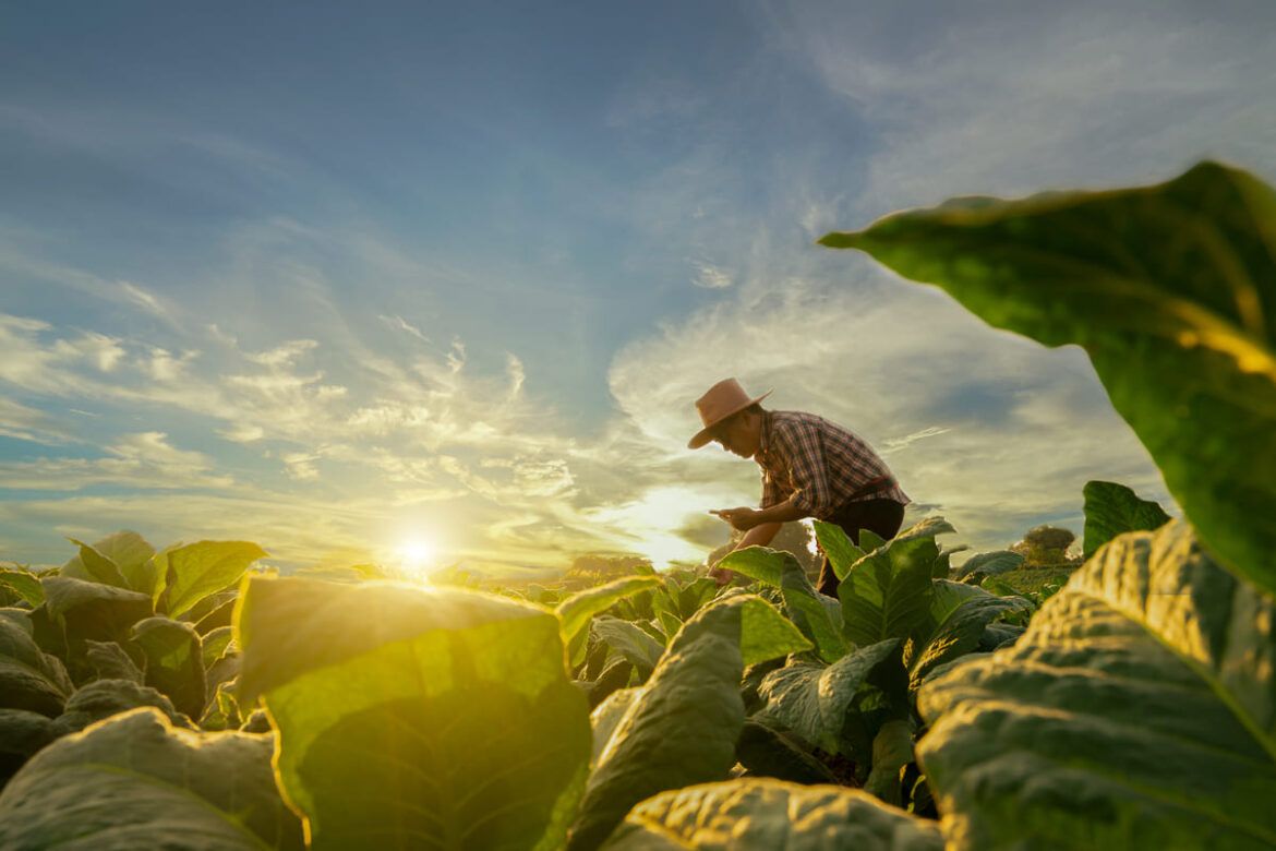 produtor rural