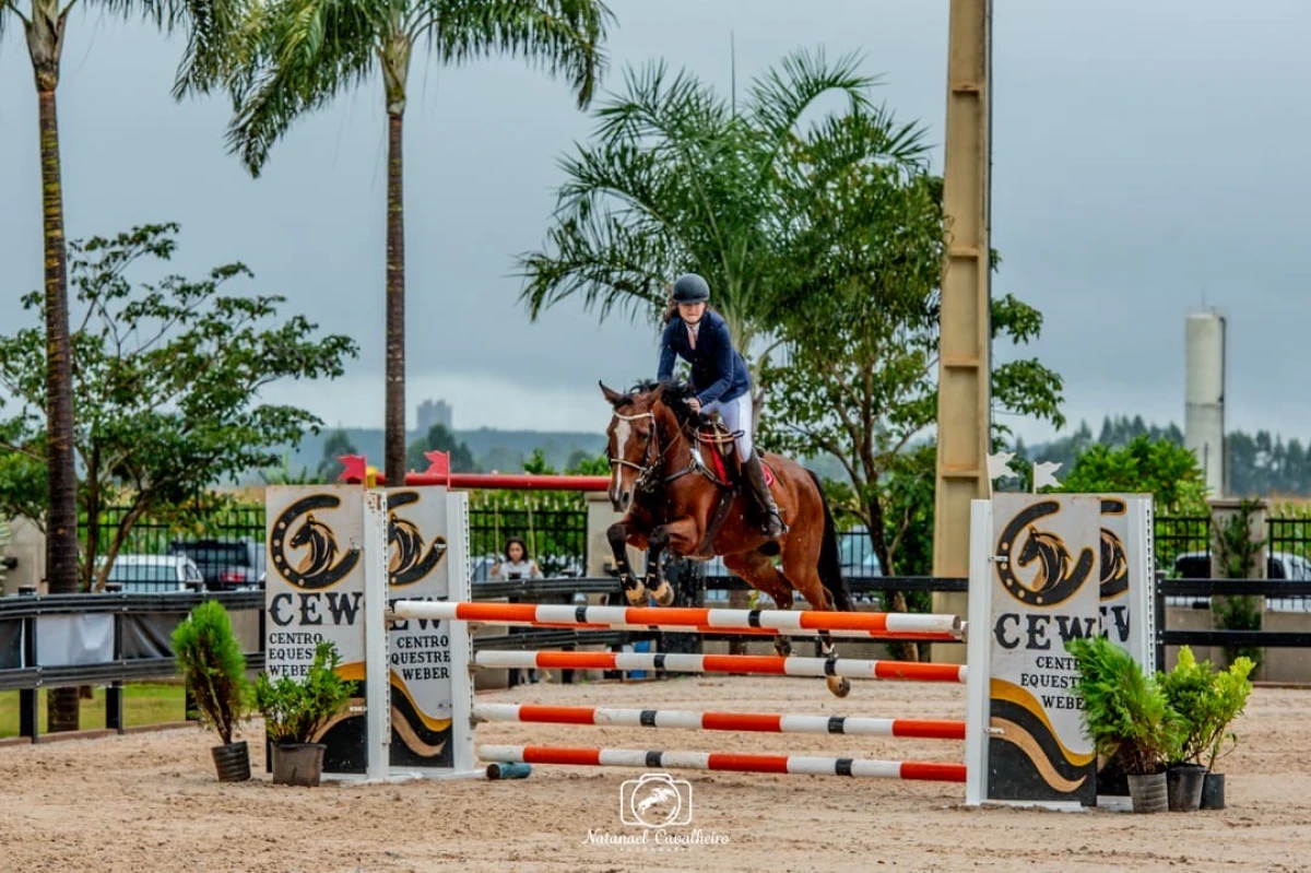 Hipismo