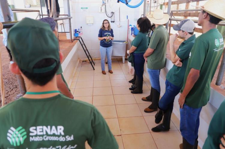 Senar-MS